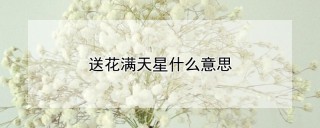 送花满天星什么意思,第1图