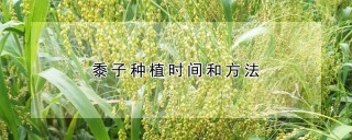 黍子种植时间和方法,第1图