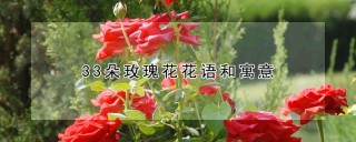 33朵玫瑰花花语和寓意,第1图