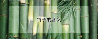 竹子的含义,第1图