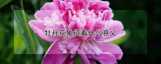 牡丹花象征着什么意义,第1图