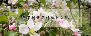 苹果树开花时施什么肥,第1图