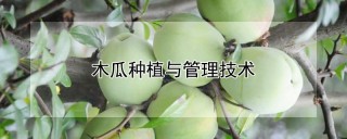 木瓜种植与管理技术,第1图