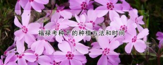 福禄考种子的种植方法和时间,第1图