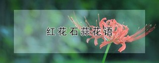 红花石蒜花语,第1图