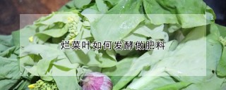 烂菜叶如何发酵做肥料,第1图