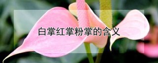 白掌红掌粉掌的含义,第1图