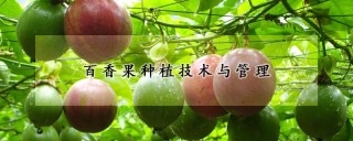 百香果种植技术与管理,第1图