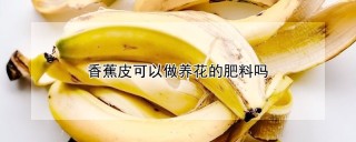 香蕉皮可以做养花的肥料吗,第1图