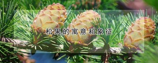 松果的寓意和象征,第1图