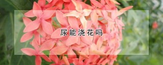 尿能浇花吗,第1图