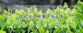 牛栏坑肉桂属于什么茶,第1图