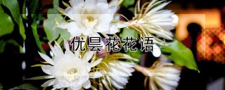 优昙花花语,第1图