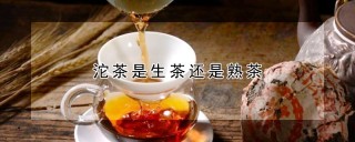 沱茶是生茶还是熟茶,第1图