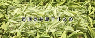 西湖龙井属于什么茶,第1图