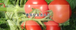 番茄打叉怎么打,第1图