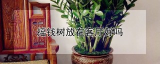 摇钱树放在客厅好吗,第1图