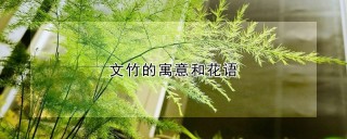 文竹的寓意和花语,第1图