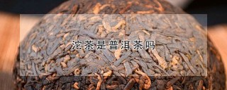 沱茶是普洱茶吗,第1图