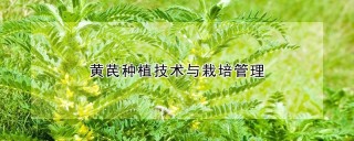 黄芪种植技术与栽培管理,第1图