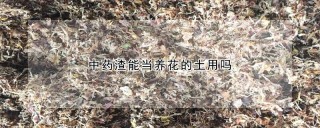 中药渣能当养花的土用吗,第1图