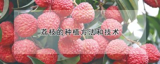 荔枝的种植方法和技术,第1图