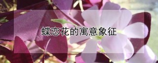 蝶恋花的寓意象征,第1图