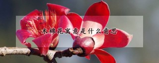 木棉花寓意是什么意思,第1图