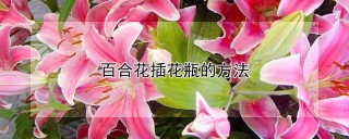 百合花插花瓶的方法,第1图