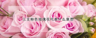 三支粉色玫瑰花代表什么意思,第1图