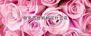 母亲节给妈妈买什么花,第1图