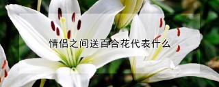 情侣之间送百合花代表什么,第1图