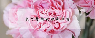 康乃馨的花语和寓意,第1图