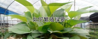 如何繁殖绿萝,第1图