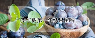 李子树第一年结果留吗,第1图