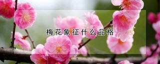 梅花象征什么品格,第1图