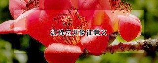 红棉花开象征意义,第1图