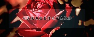 七夕送男朋友什么花比较好,第1图