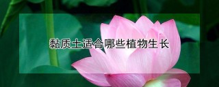 黏质土适合哪些植物生长,第1图