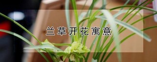 兰草开花寓意,第1图