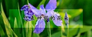 代表神明的花朵,第1图