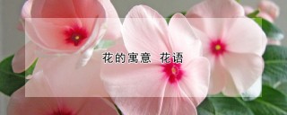 花的寓意 花语,第1图