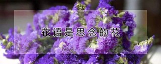 花语是思念的花,第1图