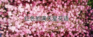 红色的满天星花语,第1图