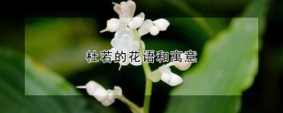 杜若的花语和寓意,第1图