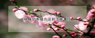 桃梅的养殖方法和注意事项,第1图