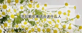 洋甘菊花束适合送什么人,第1图