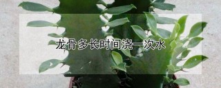 龙骨多长时间浇一次水,第1图