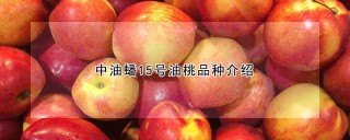 中油蟠15号油桃品种介绍,第1图