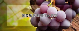 葡萄膨果期用什么肥料,第1图